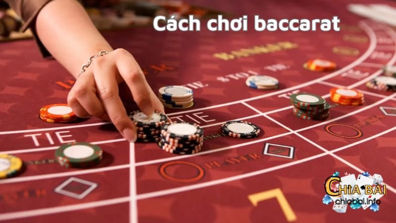 Cách chơi baccarat