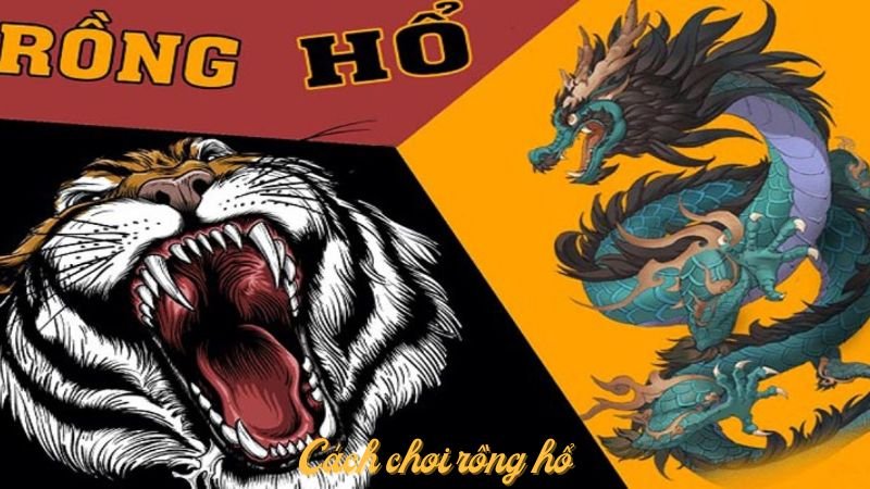 Rồng Hổ là gì