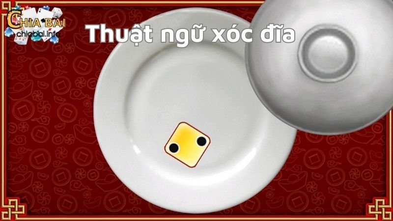 Các thuật ngữ xóc đĩa