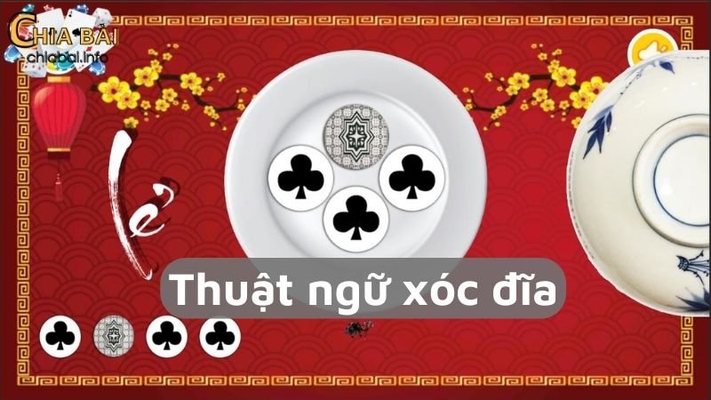 Các thuật ngữ xóc đĩa