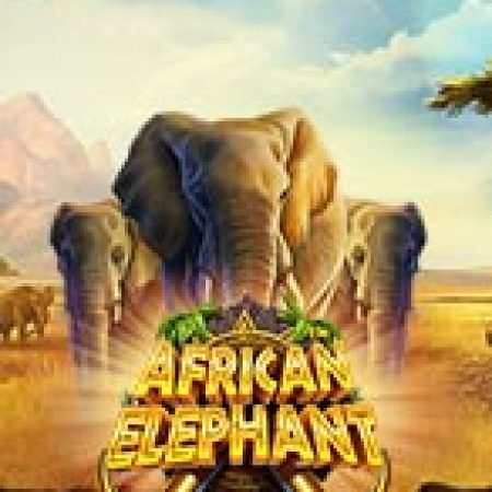 Voi Rừng Châu Phi – African Elephant Slot: Hướng Dẫn Đầy Đủ Từ A đến Z Cho Người Mới