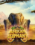 Voi Rừng Châu Phi – African Elephant Slot: Hướng Dẫn Đầy Đủ Từ A đến Z Cho Người Mới