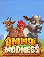 Khám Phá Bò Điên – Animal Madness Slot: Trải Nghiệm Game Slot Huyền Bí