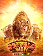 Khám Phá Cuộc Chiến Hoang Dã – Buffalo Win Slot: Trải Nghiệm Game Slot Huyền Bí