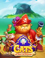 Hướng Dẫn Toàn Diện Chơi Mèo Vùng Carribbean – Cats of the Caribbean Slot: Mẹo & Thủ Thuật