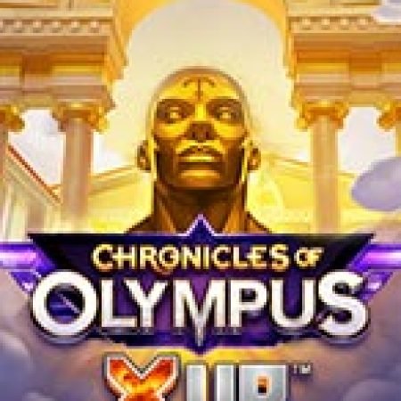 Bí Kíp Chơi Biên Niên Sử Olympus X UP – Chronicles of Olympus X UP Slot: Tăng Cơ Hội Thắng Cược Tối Đa