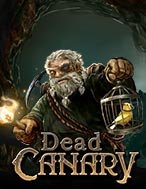 Chết Chóc – Dead Canary Slot: Hướng Dẫn Đầy Đủ Từ A đến Z Cho Người Mới