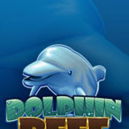 Bí Kíp Chơi Dolphin Reef Slot: Tăng Cơ Hội Thắng Cược Tối Đa