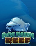 Bí Kíp Chơi Dolphin Reef Slot: Tăng Cơ Hội Thắng Cược Tối Đa