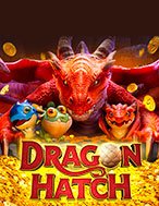 Bí Kíp Chơi Kho Báu Rồng – Dragon Hatch Slot: Tăng Cơ Hội Thắng Cược Tối Đa