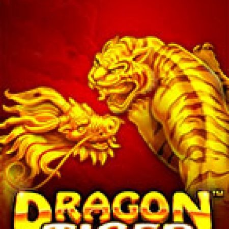 Chơi Long Tranh Hổ Đấu – Dragon Tiger Slot Ngay Hôm Nay – Phiêu Lưu Đến Thế Giới Kỳ Diệu!