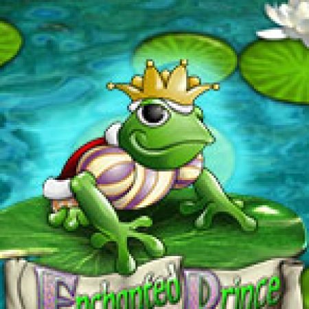 Bí Kíp Chơi Enchanted Prince Slot: Tăng Cơ Hội Thắng Cược Tối Đa