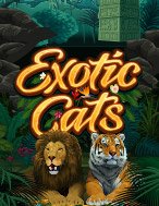 Cách Chinh Phục Chúa Sơn Lâm – Exotic Cats Slot: Chiến Lược và Hướng Dẫn