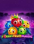 Hướng Dẫn Toàn Diện Chơi Forest Fruit Magic Slot: Mẹo & Thủ Thuật