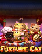 Đánh Giá Fortune Cat Slot: Kỳ Quan Game Slot Mới Nhất