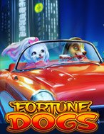 Bí Kíp Chơi Fortune Dogs Slot: Tăng Cơ Hội Thắng Cược Tối Đa