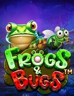 Bí Kíp Chơi Ếch Xanh Và Bầy Côn Trùng – Frogs & Bugs Slot: Tăng Cơ Hội Thắng Cược Tối Đa