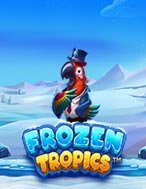 Mùa Đông Nhiệt Đới – Frozen Tropics Slot: Hướng Dẫn Chi Tiết Để Thắng Lớn và Giành Jackpot!