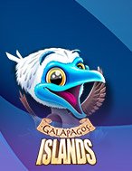 Galapagos Islands Slot: Hướng Dẫn Đầy Đủ Từ A đến Z Cho Người Mới