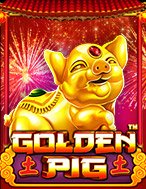 Khám Phá Chú Lợn Vàng – Golden Pig Slot: Trải Nghiệm Game Slot Huyền Bí