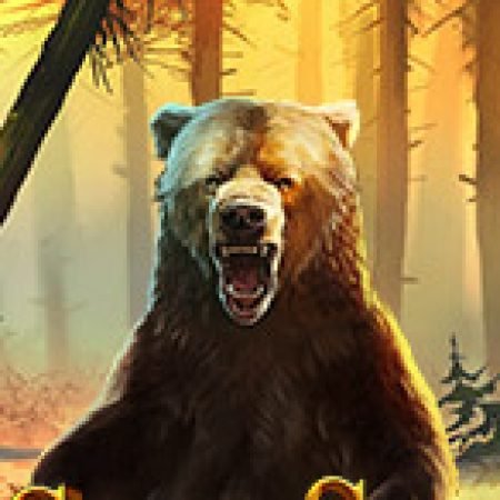 Grizzly Gold Slot: Hướng Dẫn Chi Tiết Để Thắng Lớn và Giành Jackpot!