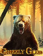 Grizzly Gold Slot: Hướng Dẫn Chi Tiết Để Thắng Lớn và Giành Jackpot!