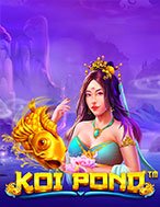 Giới Thiệu Cá Koi Vàng – Koi Pond Slot: Kỷ Nguyên Mới Của Trò Chơi Slot