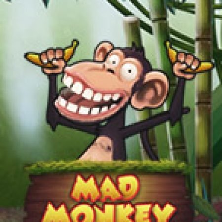 Đánh Giá Mad Monkey Slot: Kỳ Quan Game Slot Mới Nhất