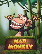 Đánh Giá Mad Monkey Slot: Kỳ Quan Game Slot Mới Nhất