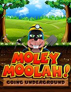 Khám Phá Moley Moolah Slot: Trải Nghiệm Game Slot Huyền Bí