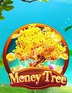 Khám Phá Money Tree Slot: Trải Nghiệm Game Slot Huyền Bí