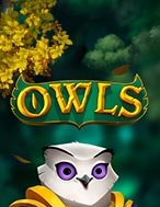 Bí Kíp Chơi Cú Đêm – Owls Slot: Tăng Cơ Hội Thắng Cược Tối Đa