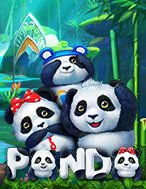 Hướng Dẫn Toàn Diện Chơi Panda Slot: Mẹo & Thủ Thuật