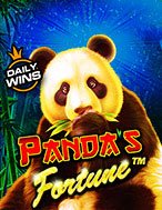 Gấu Trúc May Mắn – Panda’s Fortune Slot: Hướng Dẫn Đầy Đủ Từ A đến Z Cho Người Mới