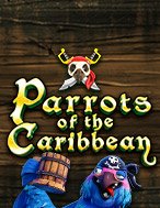 Parrots of the Caribbean Slot: Hướng Dẫn Chi Tiết Để Thắng Lớn và Giành Jackpot!