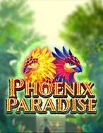 Hướng Dẫn Toàn Diện Chơi Phoenix Paradise Slot: Mẹo & Thủ Thuật