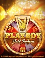 Hướng Dẫn Toàn Diện Chơi Playboy Gold Jackpots Slot: Mẹo & Thủ Thuật