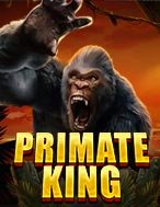 Bí Kíp Chơi Vua Khỉ – Primate King Slot: Tăng Cơ Hội Thắng Cược Tối Đa