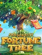 Cách Chinh Phục Cây Thịnh Vượng – Prosperity Fortune Tree Slot: Chiến Lược và Hướng Dẫn