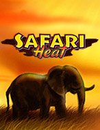 Đánh Giá Safari Heat Slot: Kỳ Quan Game Slot Mới Nhất