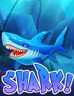 Hướng Dẫn Toàn Diện Chơi Shark! Slot: Mẹo & Thủ Thuật