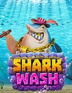 Shark Wash Slot: Hướng Dẫn Đầy Đủ Từ A đến Z Cho Người Mới