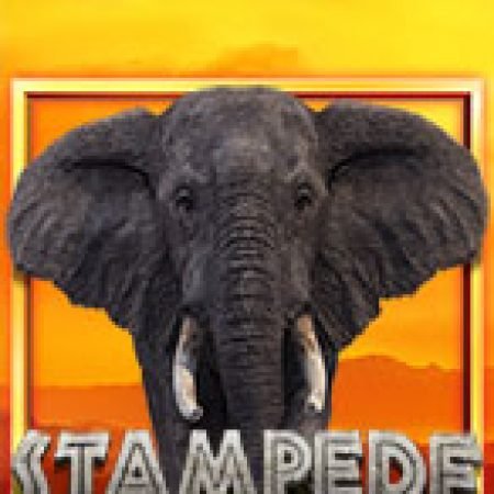 Stampede Slot: Hướng Dẫn Chi Tiết Để Thắng Lớn và Giành Jackpot!