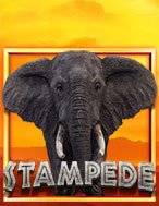 Stampede Slot: Hướng Dẫn Chi Tiết Để Thắng Lớn và Giành Jackpot!