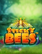 Bầy Ong Vàng Vi Diệu – Sticky Bees Slot: Hướng Dẫn Chi Tiết Để Thắng Lớn và Giành Jackpot!