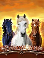 Chơi Storm Rider Slot Ngay Hôm Nay – Phiêu Lưu Đến Thế Giới Kỳ Diệu!