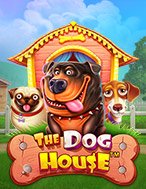 Thế Giới Cún Cưng – The Dog House Slot: Hướng Dẫn Chi Tiết Để Thắng Lớn và Giành Jackpot!