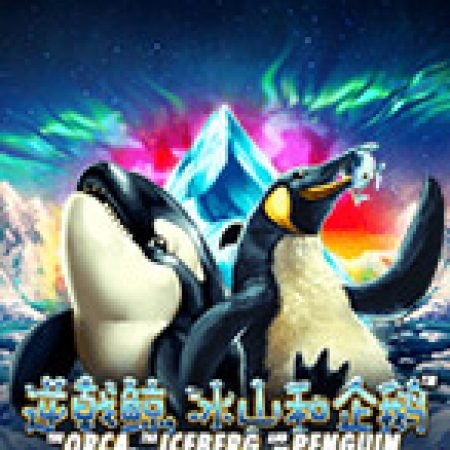 Hướng Dẫn Toàn Diện Chơi The Orca, The Iceberg and the Penguin Slot: Mẹo & Thủ Thuật