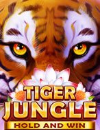 Bí Kíp Chơi Tiger Jungle Slot: Tăng Cơ Hội Thắng Cược Tối Đa