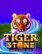 Tiger Stone Slot: Hướng Dẫn Đầy Đủ Từ A đến Z Cho Người Mới